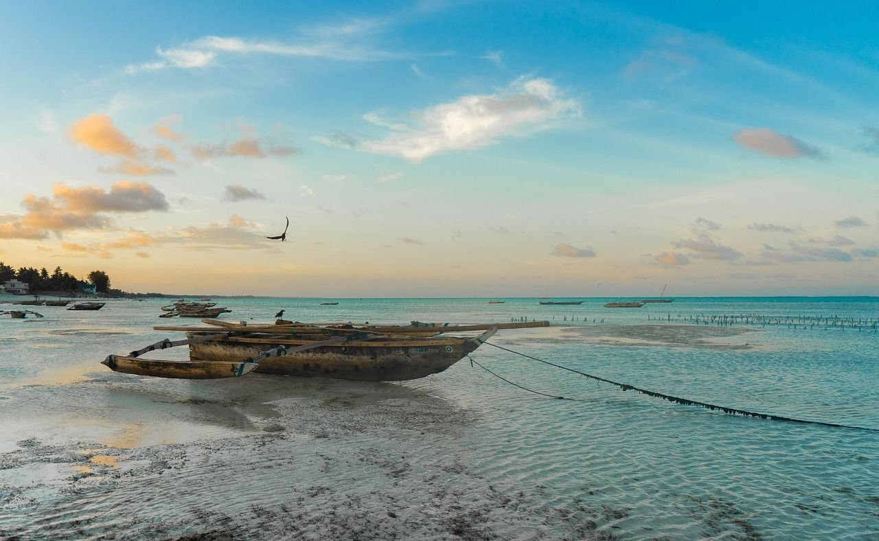 Zanzibar coastline